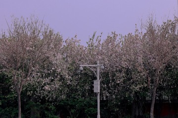 EEC5D382-6F8E-4289-850F-B941F44DD25C/L0/001