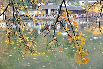 湖边