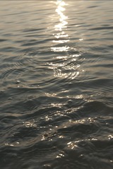 2587B3F0-83FF-49AF-82B8-A7DE2BFAEEEC/L0/001