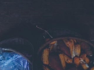 1589126