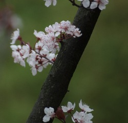9D01C942-6FA5-47BE-9C44-6727FC132804/L0/001