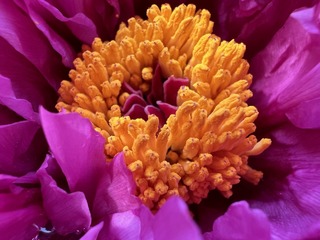 55BA5B38-373D-438E-8592-5FAE9ED37671/L0/001
