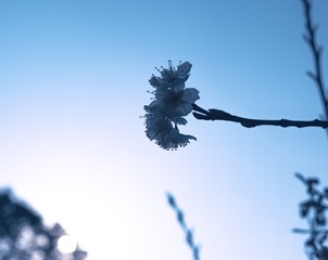 EE88AF5C-6C58-4D4B-B954-68945E1FAA12/L0/001