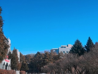 481659