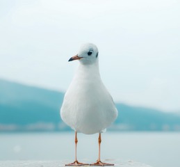 C01A0BEE-3382-4FD0-BE8D-D626D064FB97/L0/001