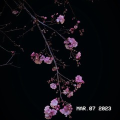 4550C70D-D811-469D-86A0-9B94641C8637/L0/001