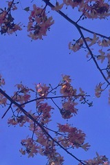 IMG_20181124_151832-01