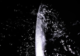 2ef4a06145e12142-01-05