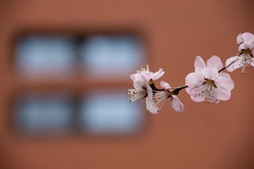 1414334