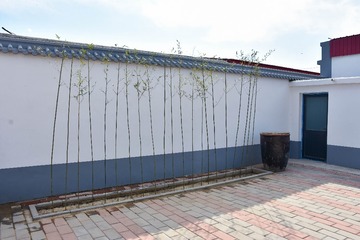 3152614