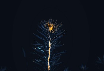 61E6EF7D-66BC-4840-A978-EE5E7344F558/L0/001
