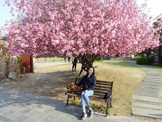 A30D0EFA-0F4C-457F-B6EF-E032A1206B06/L0/001