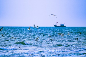 7FD34844-DF7D-4AD6-AE25-6094F8395B07/L0/001