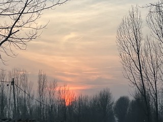 8E317F86-F348-4695-9BAB-BDE28491D575/L0/001