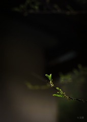001