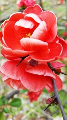 572EF387-9EF6-4B4D-8619-A1CEBB5D6DB4/L0/001