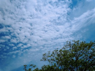 05CCF777-649B-43D0-8218-0FB1B7ABC36C/L0/001