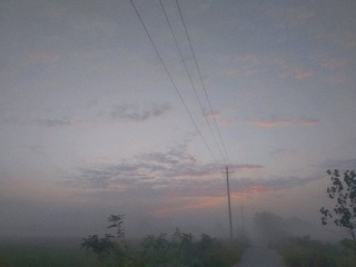 1262076