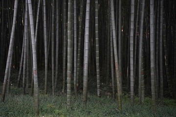 A68F5859-5BCB-4286-B656-BA7CE9A7CD20/L0/001