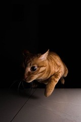 20120415-IMG_7690.jpg