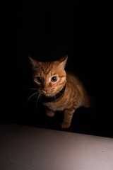 20120415-IMG_7762.jpg