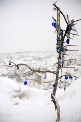 DSC_2758.JPG