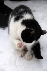 DSC_2929.JPG