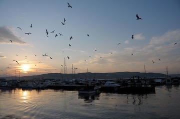 DSC_3185.JPG