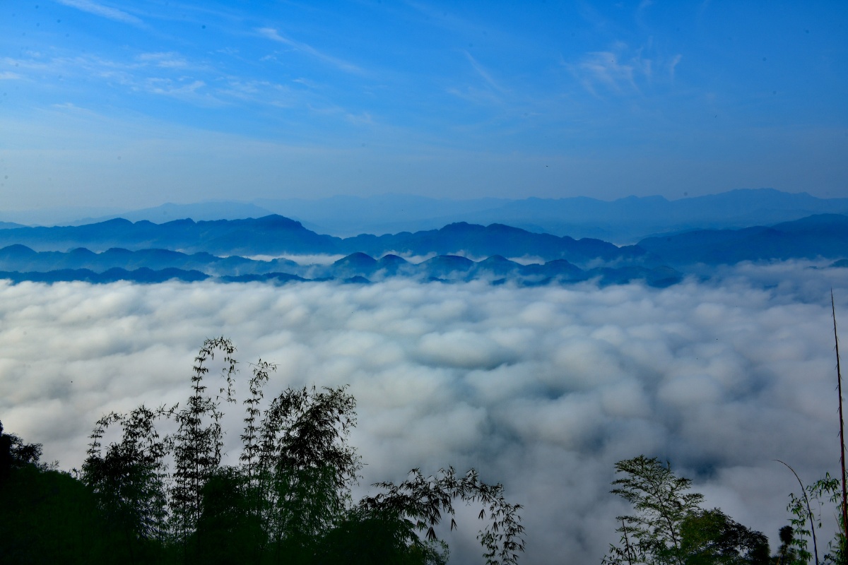 蜀南竹海图组云海田园风光