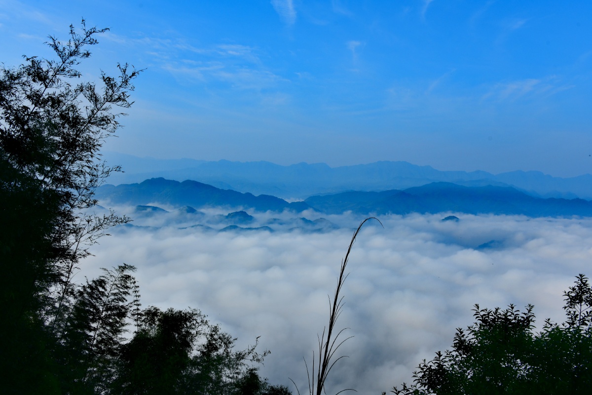 蜀南竹海图组云海
