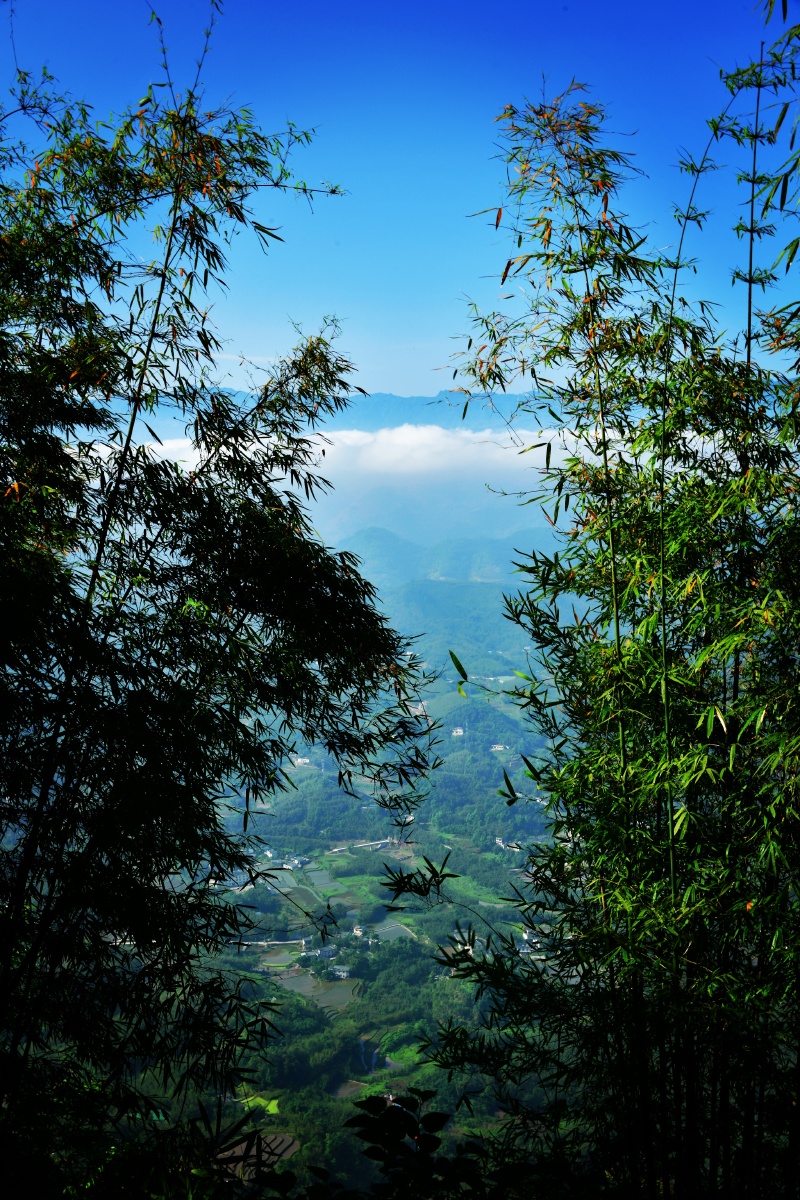 蜀南竹海图组云雾竹子山峰竹林小道天空