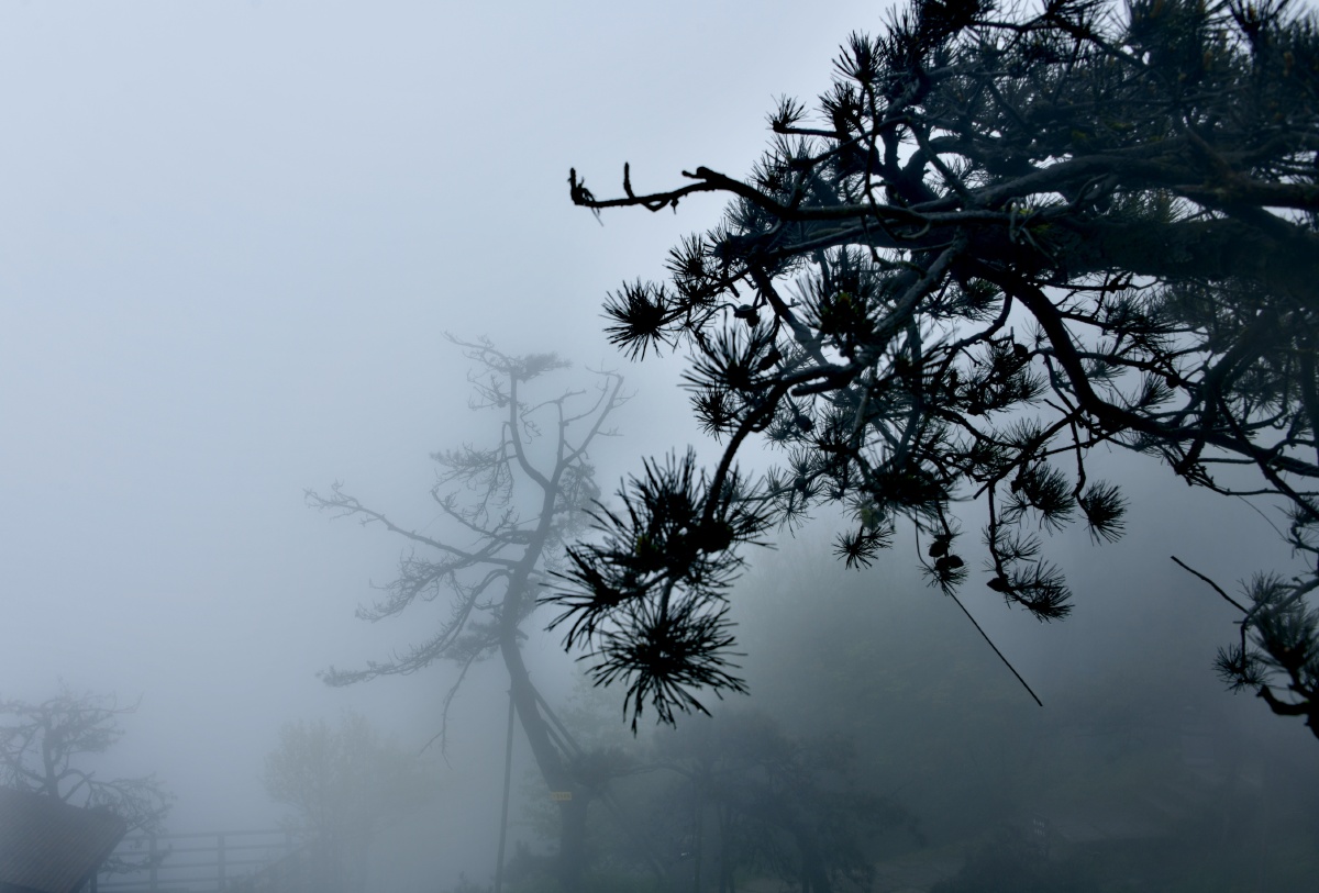 贵州赤水娄山关雾景