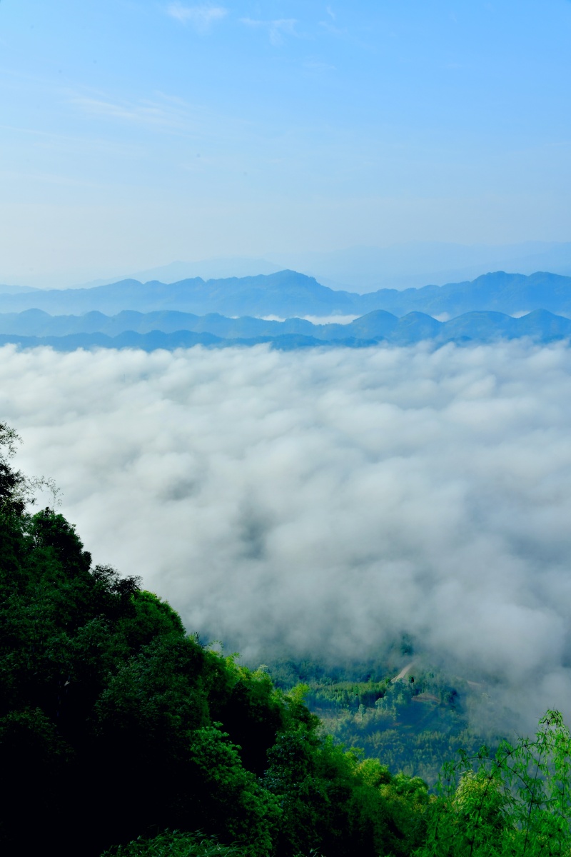 蜀南竹海图组云海田园风光