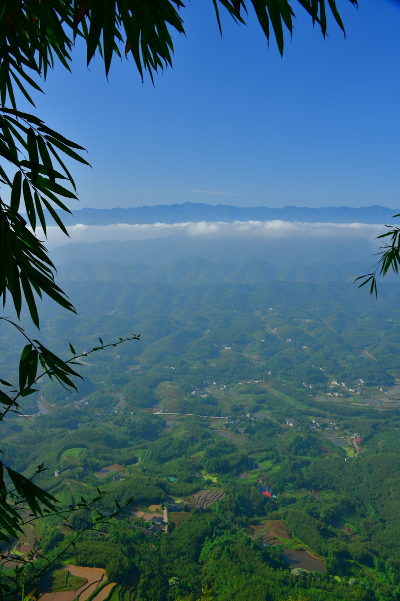蜀南竹海图组云雾竹子山峰竹林小道天空