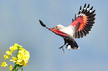 3108