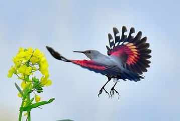 3538