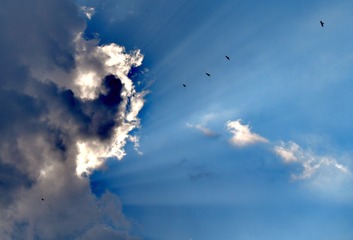 1785162