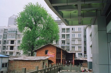 16470007.JPG