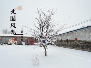 944FE42C-35DF-43D1-9CBE-2F239E814602/L0/001
