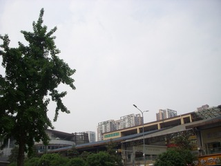 389514