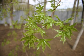 IMG_5495.JPG