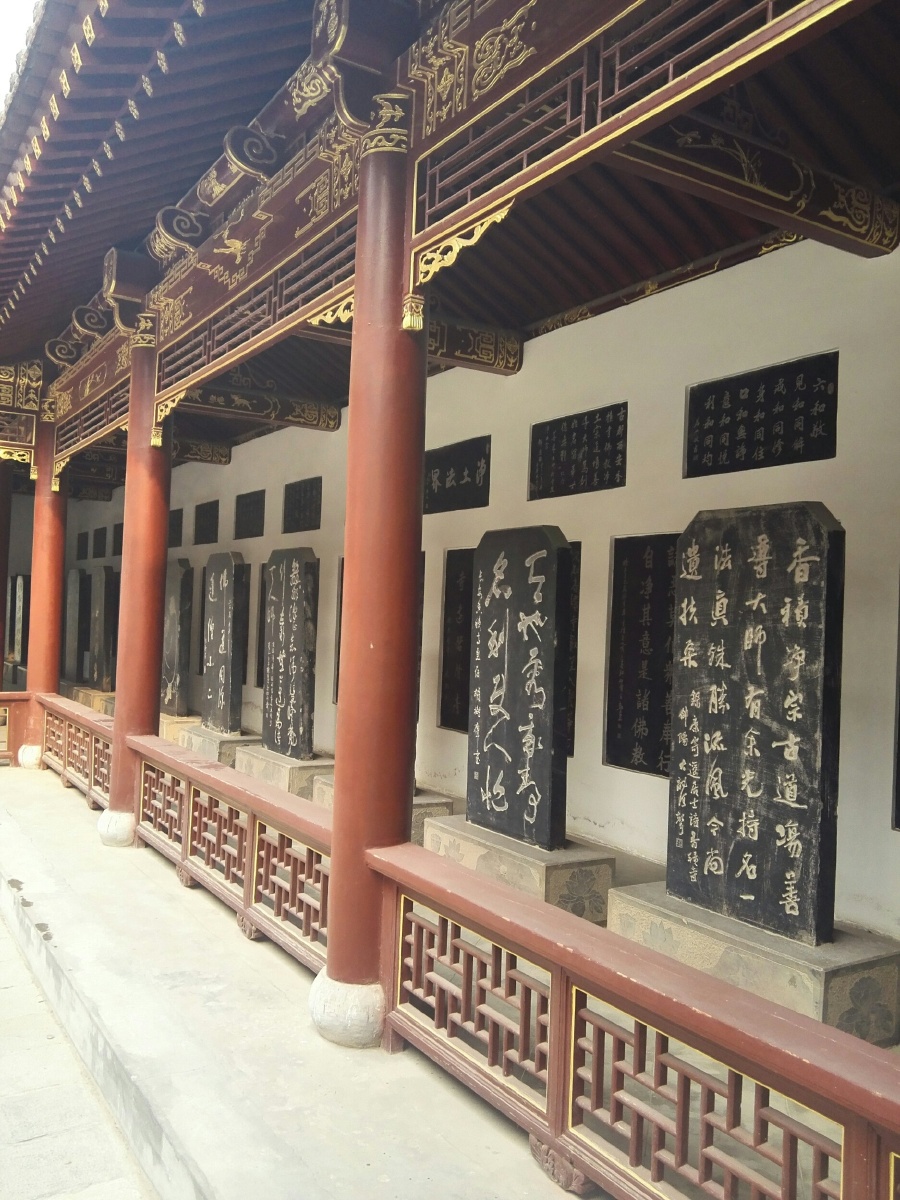 手机拍 - flr508 - 图虫网 - 优质摄影师交流社区