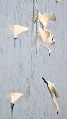07