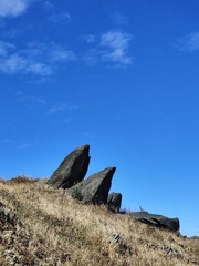 1000077824