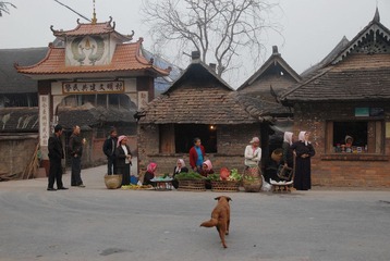 DSC_0611.jpg