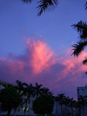 1B256198-19F6-4704-99D4-7472703B9820/L0/001