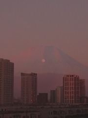 257516