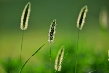 C838DFB9-ADF8-4A98-AD6F-9413B55816BE/L0/001