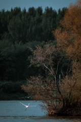 5A171F0C-74CC-496E-91D2-A7873C31B202/L0/001