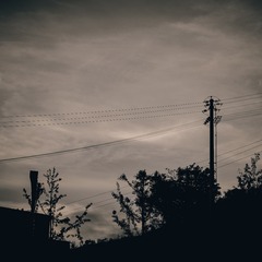 77944